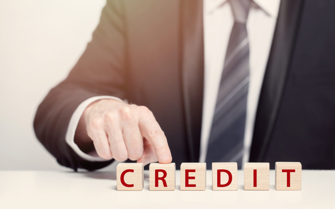 The Building Blocks of Credit