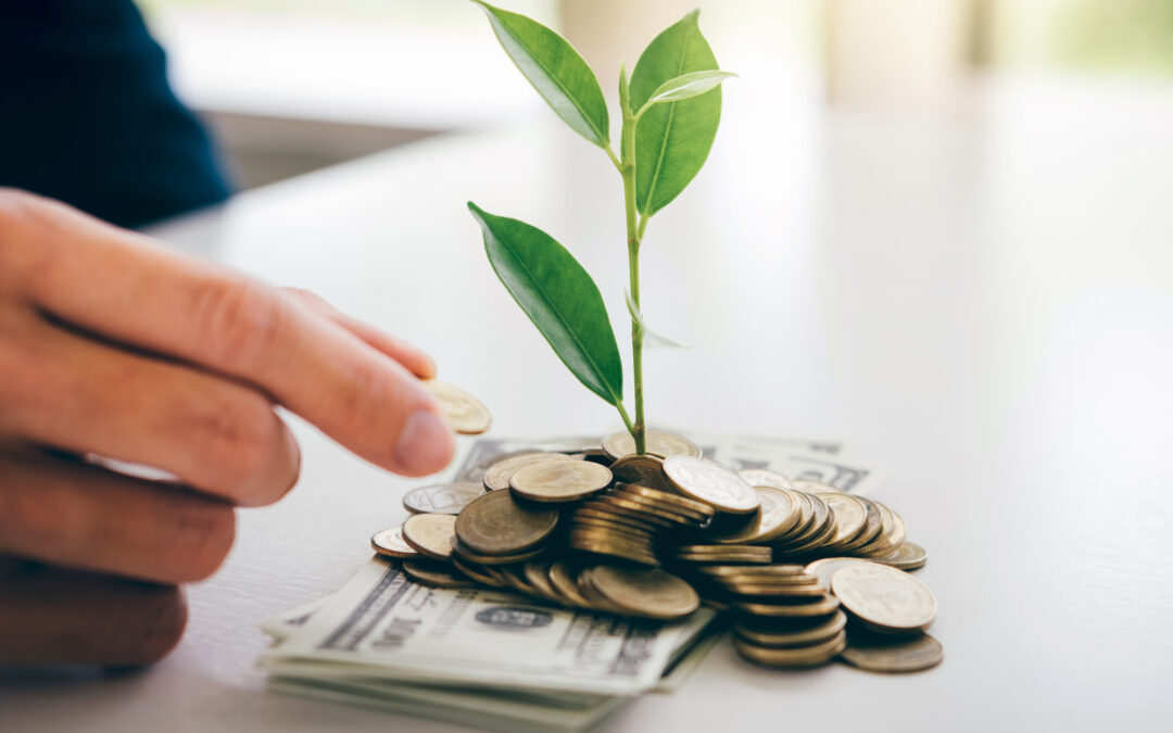 What is an IRA?